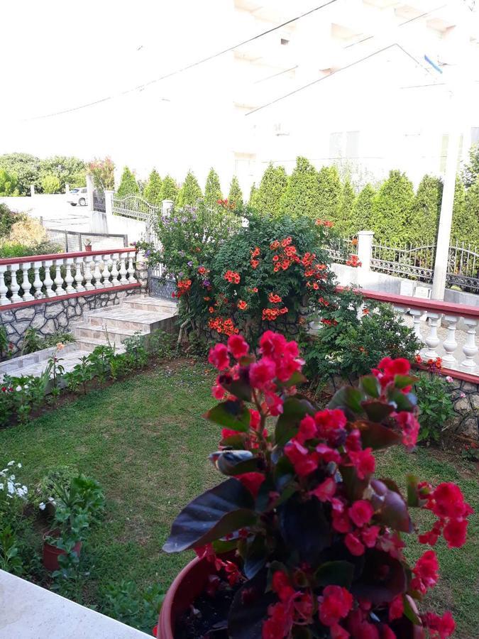 Alvanita Apartments Ulcinj Ngoại thất bức ảnh